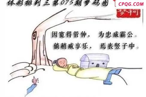 体彩P32025年075期 梦码图