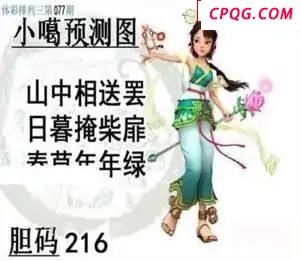 体彩P32025年077期 小嘎预测图