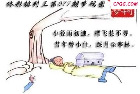 体彩P32025年077期 梦码图