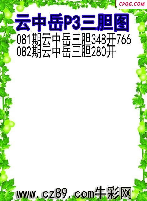 25年082期云中岳P3三胆图