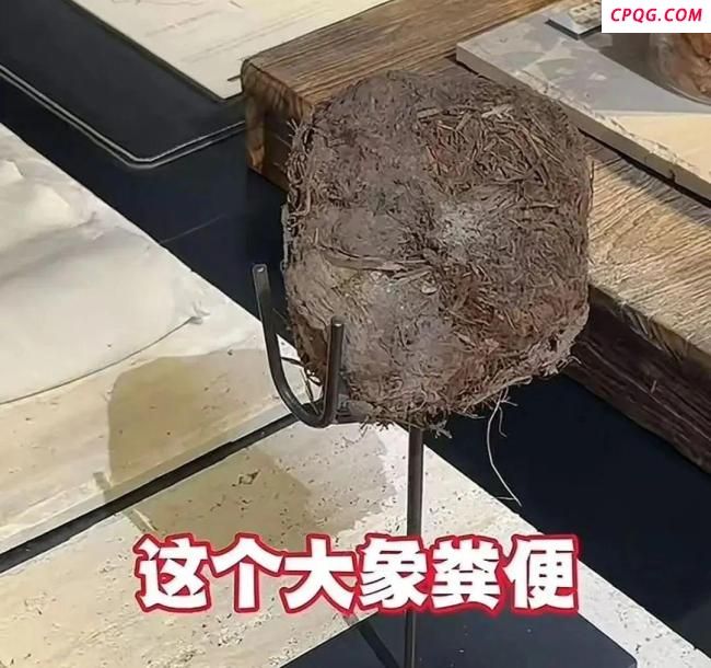 上海人均4千吃象粪甜品餐厅已停业