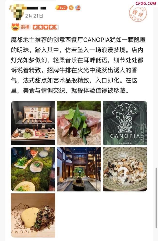 上海人均4千吃象粪甜品餐厅已停业 因食品安全违规被查