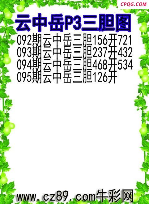 25年095期云中岳P3三胆图