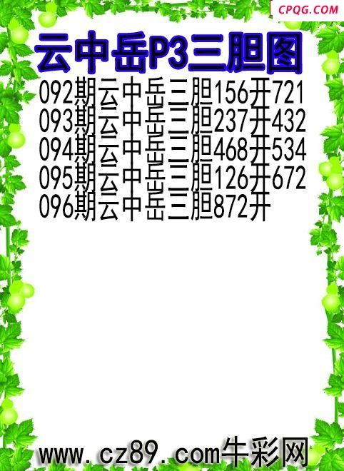 25年096期云中岳P3三胆图