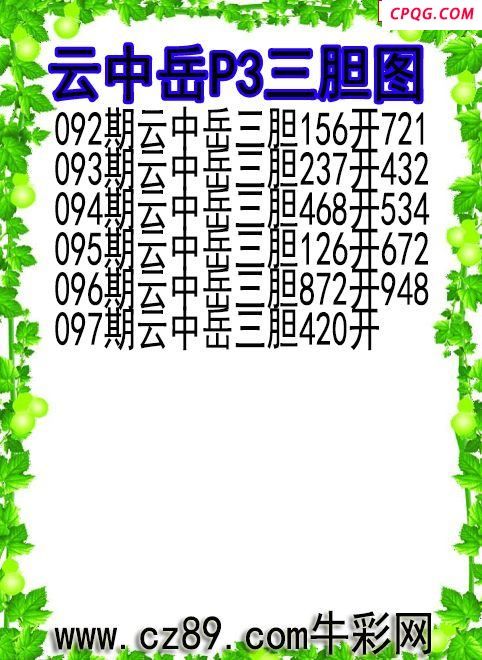 25年097期云中岳P3三胆图