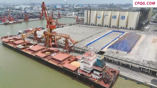 3.8万吨巴西大豆运抵广州港