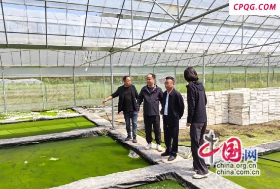 湖南湘西：“红军村红色贷”助力乡村振兴(图)