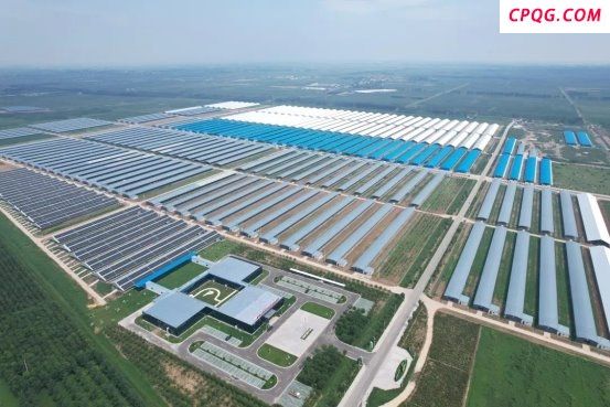 农发行东营市分行：创新项目营销“六步工作法” 开拓金融服务新