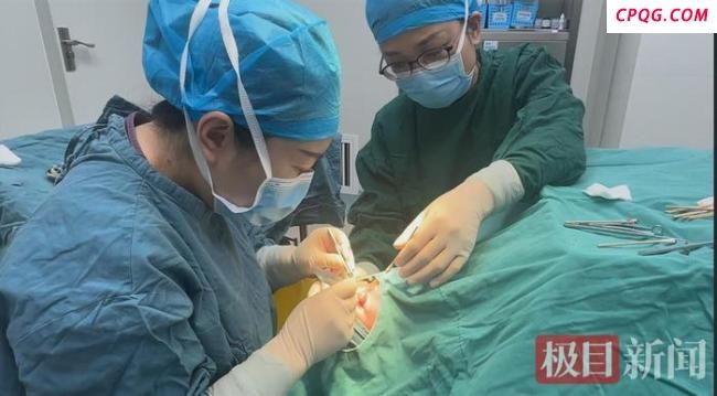 男童频繁揉眼竟是螨虫在眼睛里做窝 80多只螨虫藏匿睑板腺