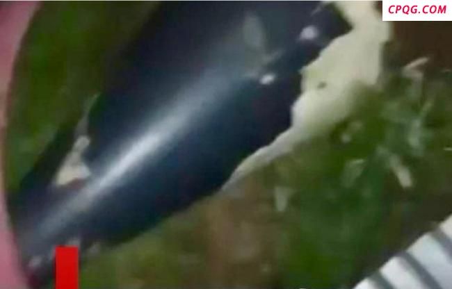 专家：巴体系化装备远距离瘫痪印战机 阵风或被击落