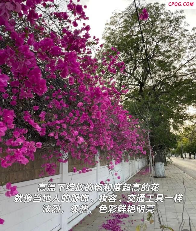 当地华人称德里局部面临大范围停电 机场实施管控