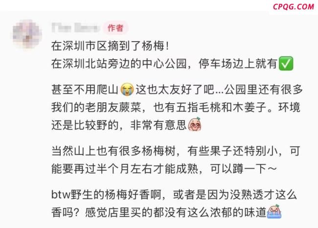 官方回应深圳北站可以摘杨梅