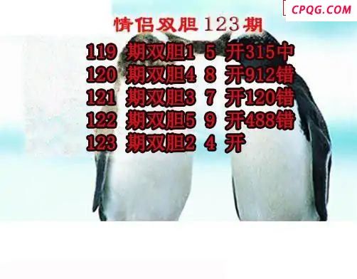 情侣双胆2025123期3d图谜