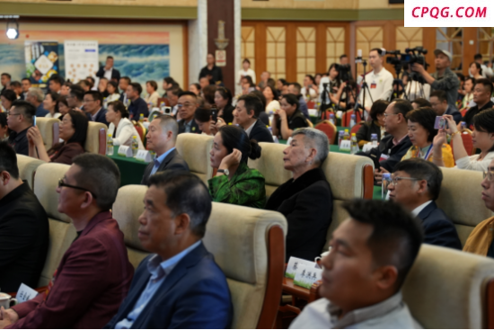 民营经济促进法实施 九展以创新实践回应政策利好