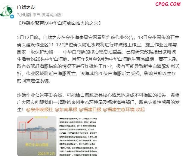 泉州炸礁施工或伤中华白海豚