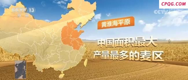 四川冬小麦进入黄金收割期 麦收地图一览