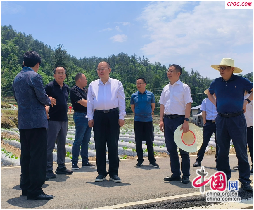 湖南湘西：李平调研乡村振兴 助力产业发展