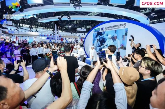 深圳渔博会现800斤金枪鱼 深海美味引关注