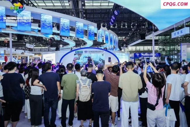 深圳渔博会现800斤金枪鱼 深海美味引关注