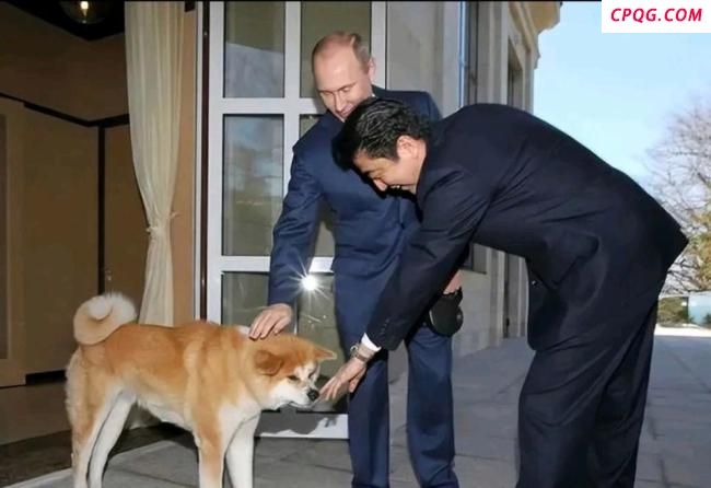 普京说俄日关系情况变了 试探日本反应