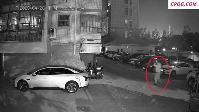 看到这种“面具”人脸需警惕 狡猾狐狸难逃猎手