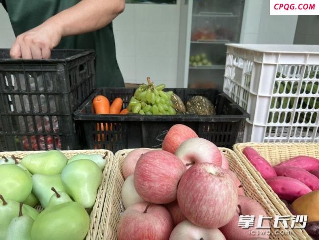 饲养员当大厨 大熊猫吃上美味粽子