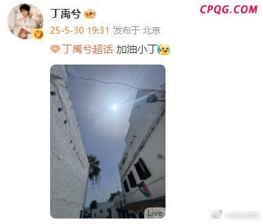 丁禹兮亲手给粉丝做小炒牛肉 宠粉天花板