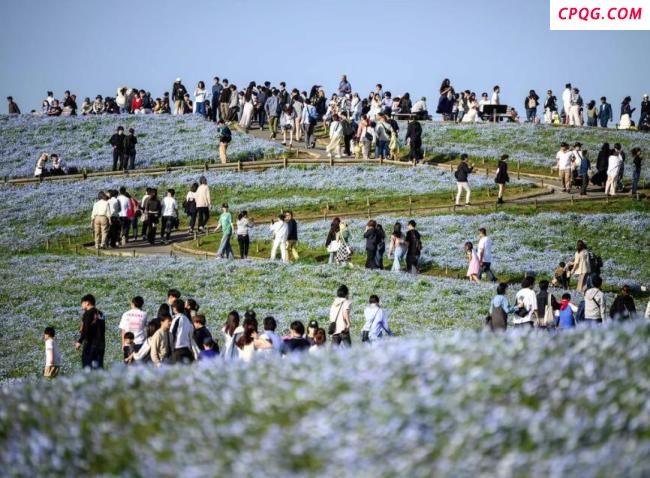 “日本7月5日末日论”疯传 专家解读 谣言影响旅游业