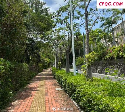 男友还原女子在三亚被蛇咬身亡过程 延误救治引争议
