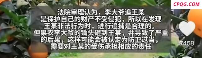 男子偷梨被果农砸到腿 果农担责一半 偷窃反索赔引争议