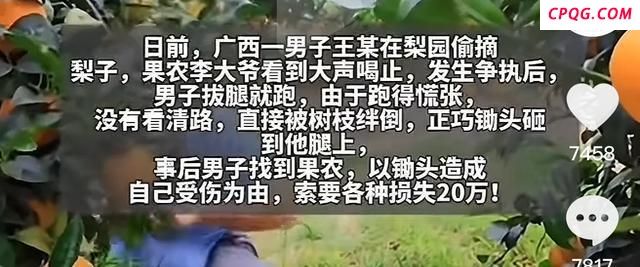 男子偷梨被果农砸到腿 果农担责一半 偷窃反索赔引争议