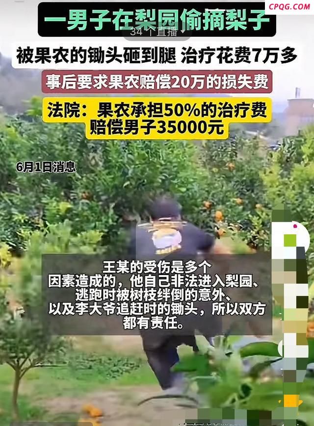 男子偷梨被果农砸到腿 果农担责一半 偷窃反索赔引争议