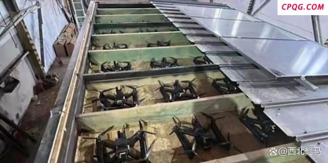欧洲是否提前知晓乌克兰蛛网行动 欧洲的沉默引人关注