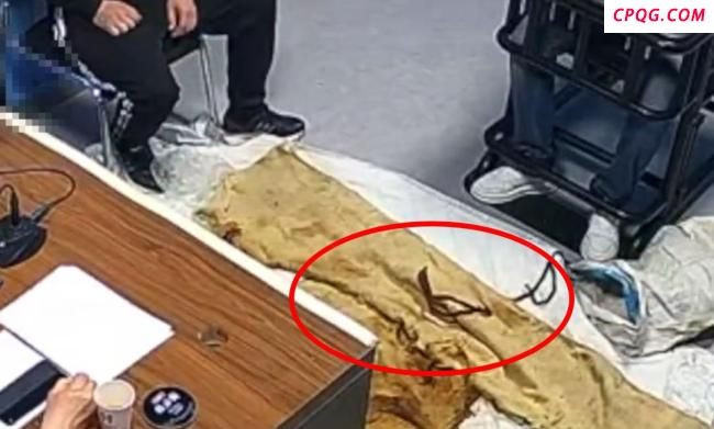 男子欲卖千年裹尸布被捕