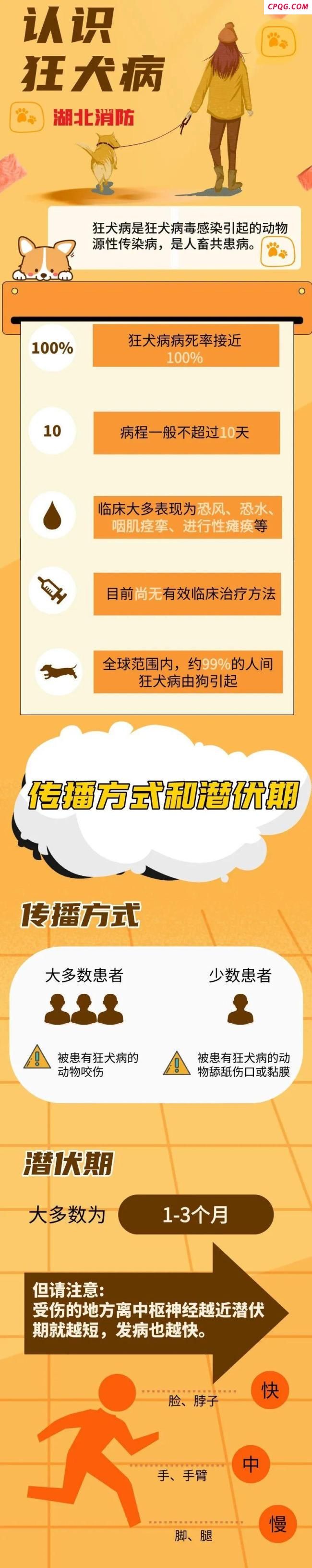 四川一流浪狗有狂犬病毒咬伤多人 多地群众受威胁