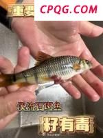 台青评电视剧《藏海传》 权谋与人性的深刻探讨