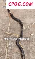 “苏超”球员为考生送祝福 高考优先