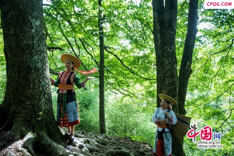 去年全年接待游客67.6亿 总收入4814.2亿元