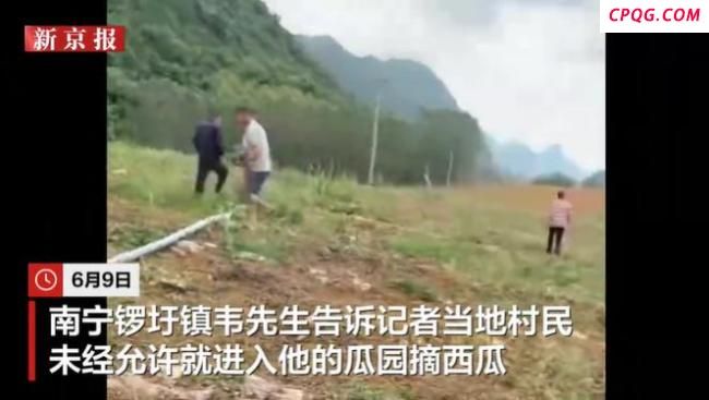 广西一地村民哄抢280亩瓜田