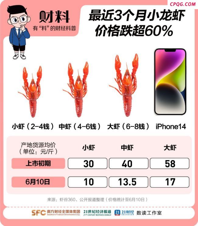 一斤小龙虾从40元跌到15元