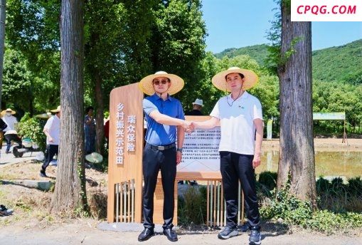 瑞众保险：以示范田为笔，共同绘就浙江乡村振兴新“枫”景