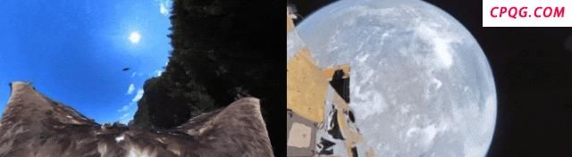 影石Insta360：不借助风口的成长故事 Think Bold的创新之路