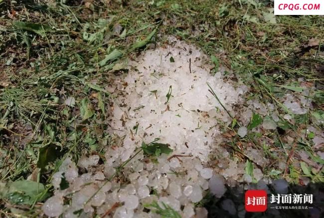 四川巴中遭冰雹暴击超一小时 农作物大面积受损