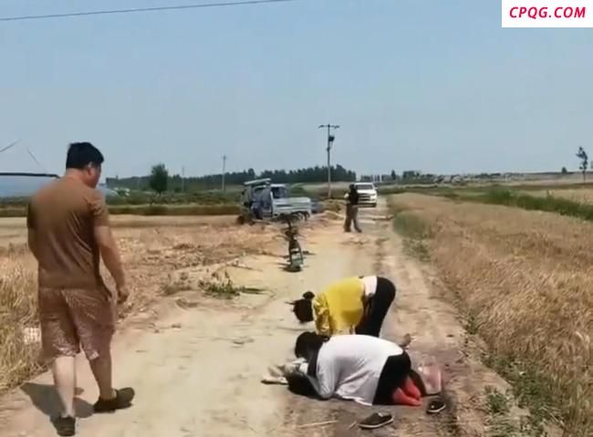 沧州一收割机触碰电线 农机手触电身亡
