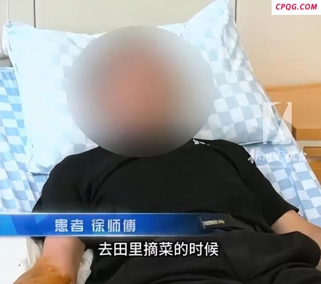 大爷被五步蛇咬伤 一脚踩死带蛇就医