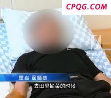 评论员：伊军反击收效甚微 伊朗反击乏力凸显制空权丧失