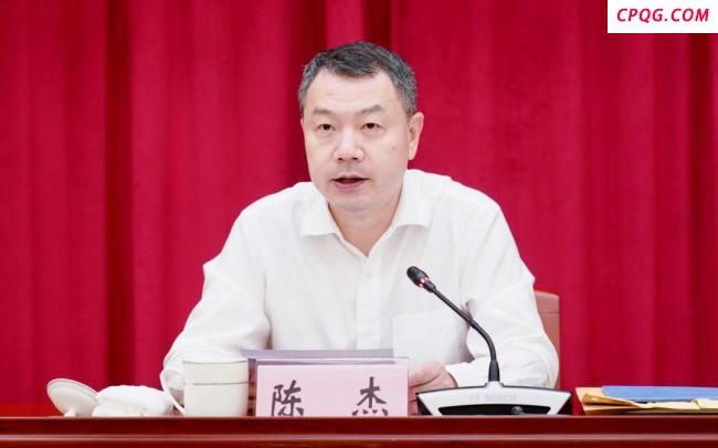 陈杰任上海市委常委
