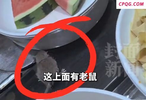 北京一自助火锅店出现老鼠