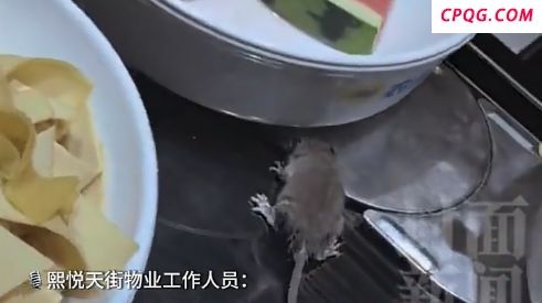北京一自助火锅店出现老鼠 视频引发广泛关注