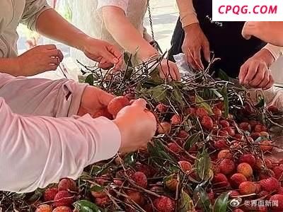 荔枝价格为何暴跌